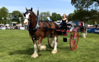 The Fife Show, Kinloss Estate, Cupar, Fife