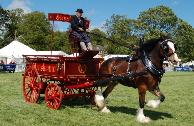 The Fife Show